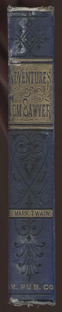 spine.jpg (33K)