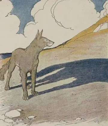 THE WOLF AND HIS SHADOW