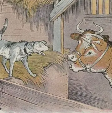 THE DOG IN THE MANGER