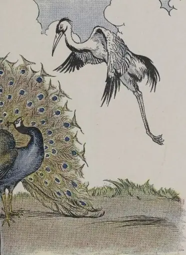 THE PEACOCK AND THE CRANE
