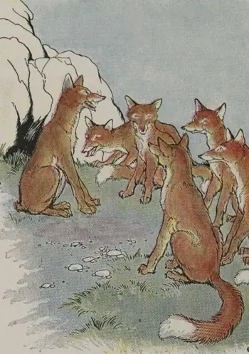 THE FOX WITHOUT A TAIL