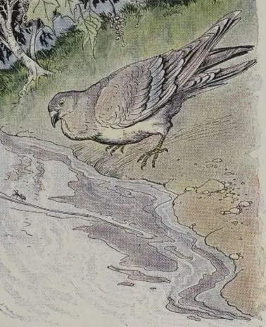 THE ANT AND THE DOVE