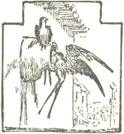 Decorative graphic of two birds