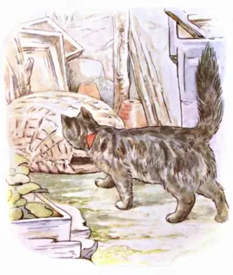 Cat Sniffing Basket